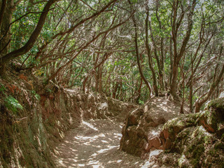 Path of senses of Anaga