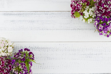Sweet william flowers bouquet on white wood background with copy space