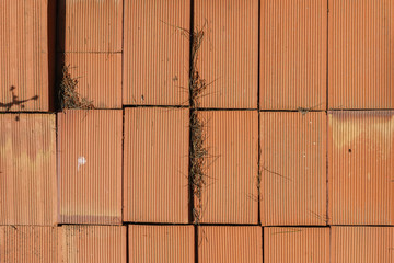Red old dirty Bricks