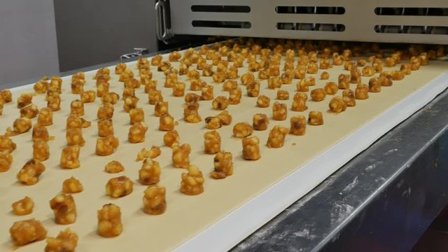 Little dots of Apple filling put on dough on conveyor belt of a food factory