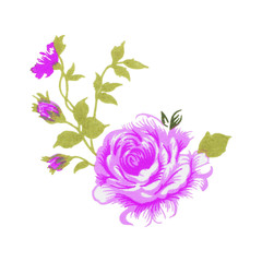 vintage style of tapestry flowers fabric pattern background