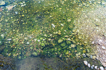 Green rocks of a river near Altea, Spain