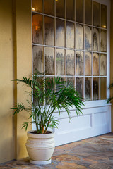 Glass Window Panes With Yellow Wall And Palm Plant