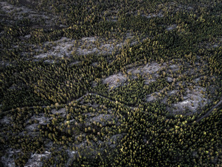 Aerial view of forest and rocky landscape