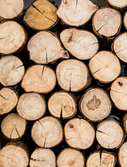 Fototapeta premium cutting wood