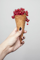 Berries in a cone