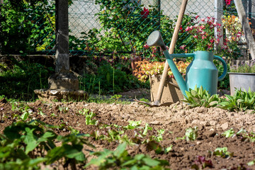 Gardening. A rake and a water can in the garden after work.