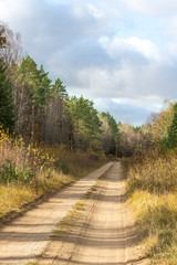 Fototapeta na wymiar Country dirt road during autumn.