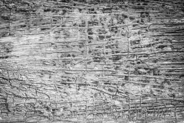 Fototapeta premium Pattern cracked old wooden background.