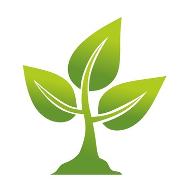 bio2405b