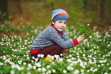 little boy in spring forest with many flowers