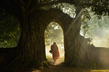 Buddhist monks are walking on green field in mist sunrise,Monks Thailand,Budha Monks,Thailand