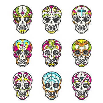 Colored sugar skull isolated on white background. Mexican hand drawn calavera set for halloween or day of the dead, dia de los muertos