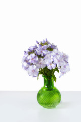 Bouquet of blue phlox in a green glass vase on isolated white background.