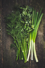 Dill, parsley and green onion on a dark wooden surface