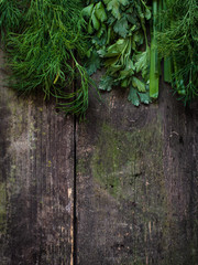 Dill, parsley and green onion on a dark wooden surface