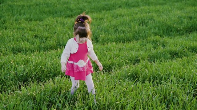 A little baby-girl in cute dress makes first steps in the field