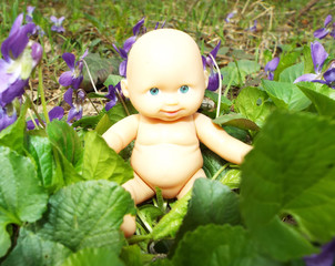  Baby in flowers