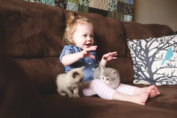Little toddler plays with her kittens on a couch