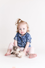 Fototapeta na wymiar Cute toddle girl plays with baby kittens