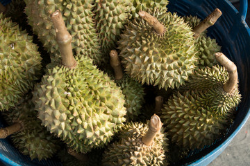 Naklejka na ściany i meble Durian in basket at market