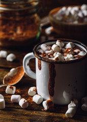 Mug of Cocoa with Marshmallow.