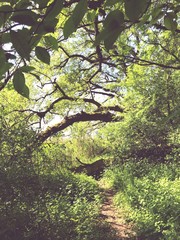 Holiday, Mountain, Travel, Outdoor