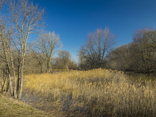 Fototapeta premium Spring landscape