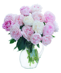 Fresh peony flowers colored in shades of pink in vase isolated on white background