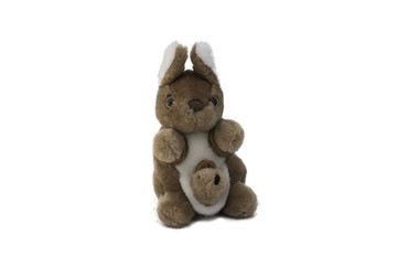 stuffed animal kangaroo toy , Isolated on white