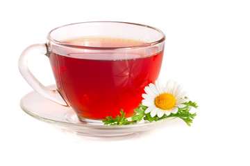 Herbal tea with fresh chamomile flowers isolated on white background
