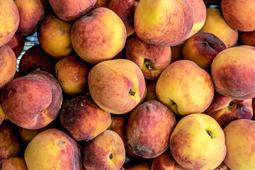 Ripe Peaches Harvest