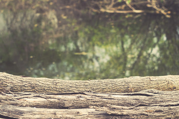 Old logs with bark on the background of the lake