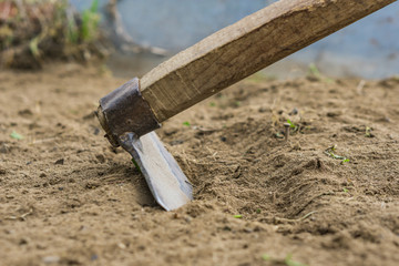 Preparation of the soil for sowing, close-up of the picking tapped in the ground. Concept of agro-culture.