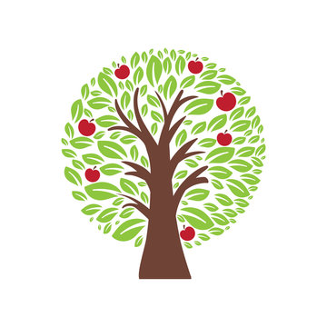 Illustration of apple tree. Vector