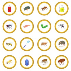 Insect icon circle