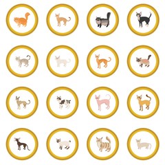 Cat icon circle