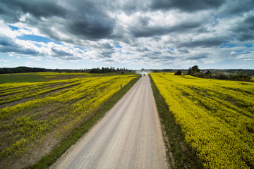 Gravelroad in latvian countryside.