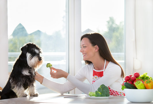 Can Dogs Safely Eat Edamame? Nutritional Benefits, Risks, and Feeding Tips Edamame for dogs: is it safe? Our comprehensive pet nutrition article covers everything you need to know about feeding this protein-rich snack to your furry friend.