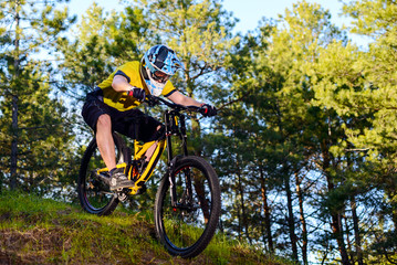 Plakat Professional Cyclist in Yellow T-shirt and Helmet Riding the Bike Down Hill in Forest. Extreme Sport Concept.