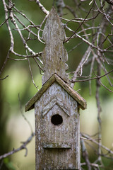 Wooden Birdhouse In Tree
