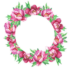 Round frame with flowering pink peonies, isolated on white background. Watercolor hand drawn painting illustration.