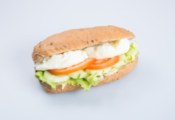 sandwich or tasty egg sandwich on background.