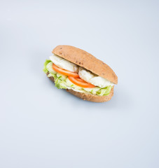 sandwich or tasty egg sandwich on background.