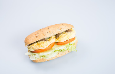 sandwich or tasty egg sandwich on background.