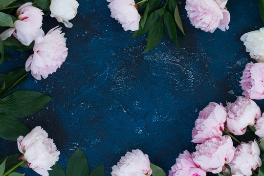 Fototapeta Fresh peony flowers frame with copy space on dark blue background