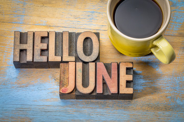Hello June word abstract in wood type - obrazy, fototapety, plakaty