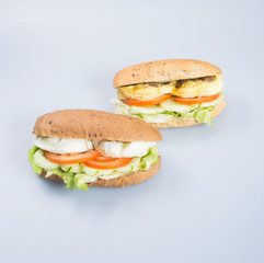 sandwich or tasty egg sandwich on background.