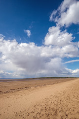 Fototapeta na wymiar Deserted beach and sand dunes