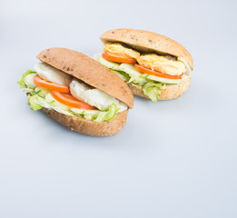 sandwich or tasty egg sandwich on background.